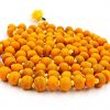 Haldi Mala 2